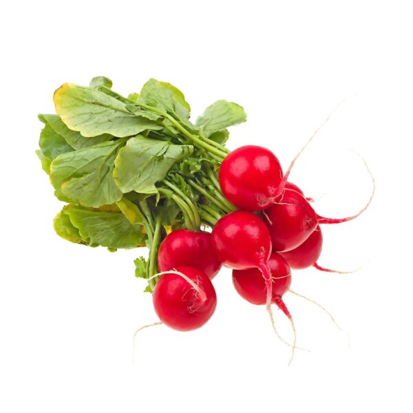 Premium Cabbage Seeds - Image 4