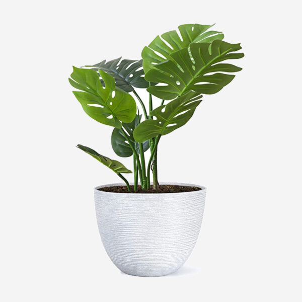 Cotton Rope Plant Basket - Image 5